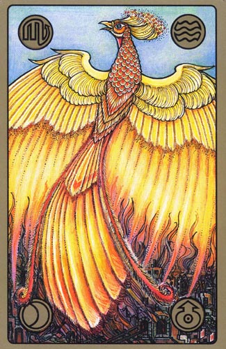 Le phénix, carte du Symbolon